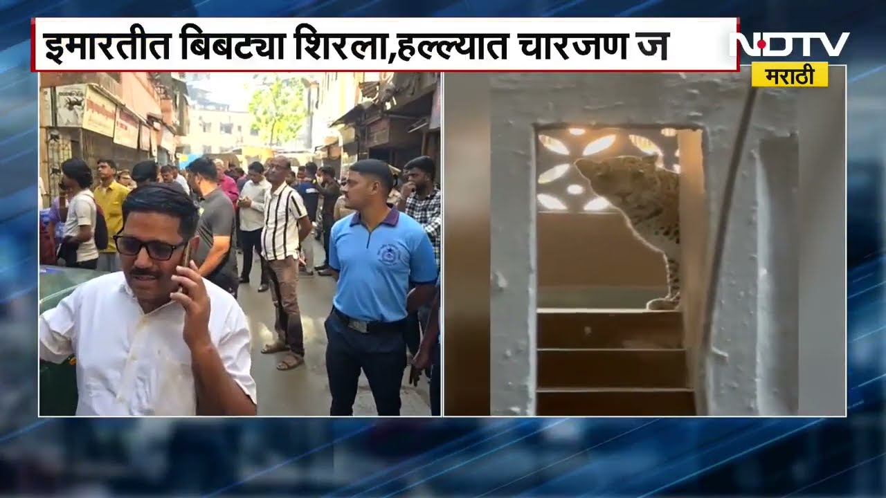 Mira Bhayandar Leoipard | मीरा भाईंदरमध्ये इमारतीत घुसलेल्या बिबट्याला खोतीत बंद करण्यात यश