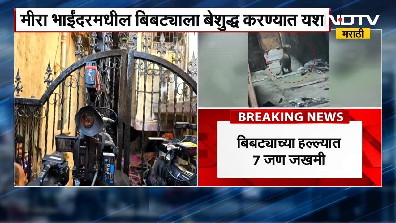 Mira Bhayandar Leopard | तब्बल 7 तासानंतर मीरा भाईंदरमधील बिबट्या जेरबंद | NDTV मराठी | Bibtya