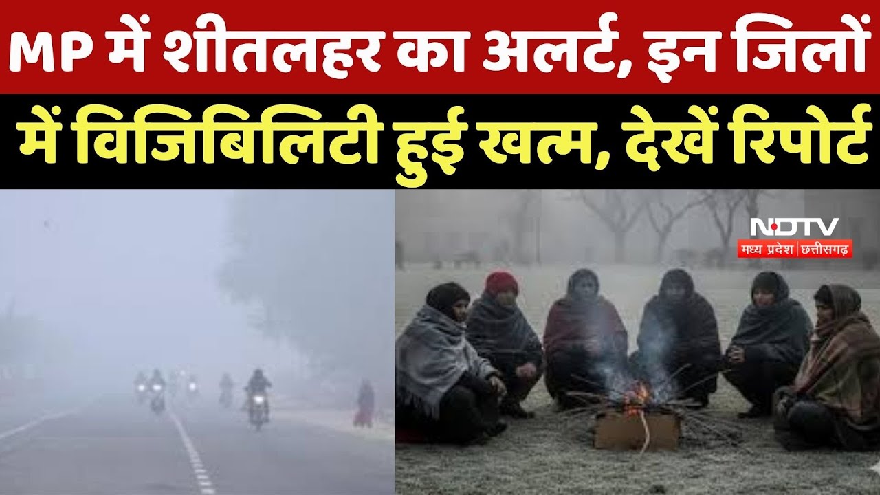 Weather News : MP में शीतलहर का Alert, इन Districts Visibility Zero, जनजीवन प्रभावित