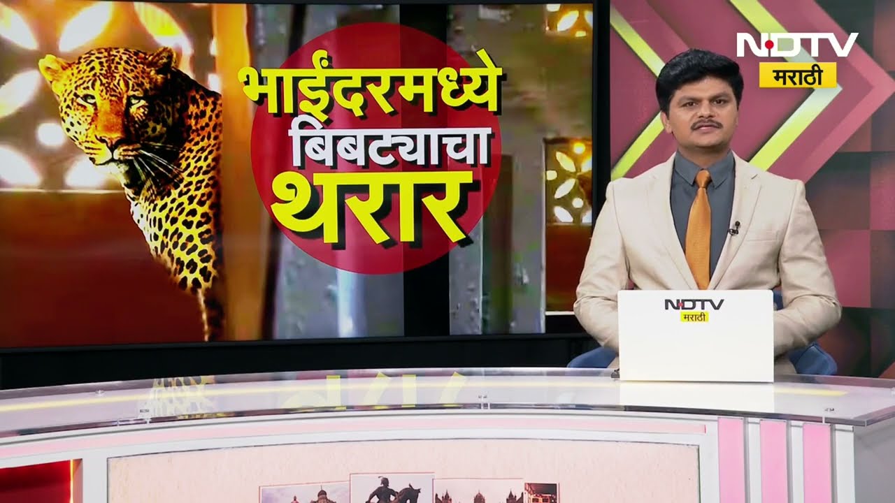 Leopard | राज्यभरात बिबट्याची दहशत,मिरा भाईंदरमध्ये तब्बल 7 तास बिबट्याचा थरार | NDTV मराठी Report