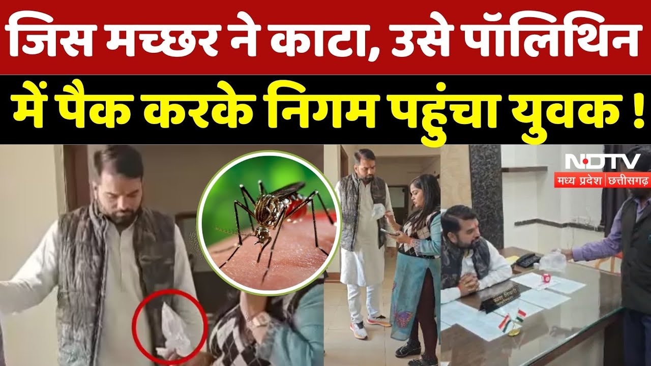 Raipur News: जब पॉलिथिन में पैक कर Dengue Mosquito लेकर निगम पहुंचा शख्स | Viral | Chhattisgarh |Top