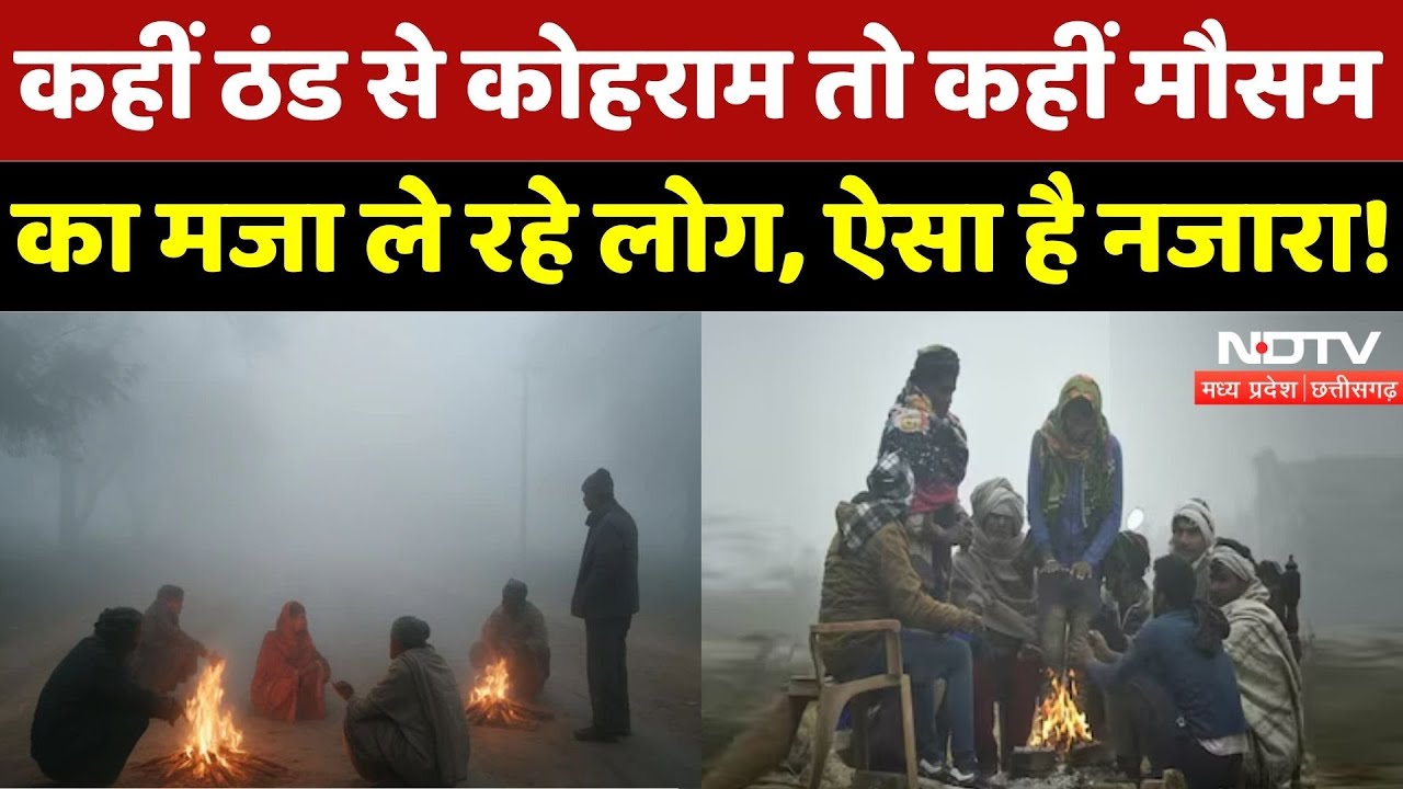 Weather Alert: ठंड ने दिखाए तेवर, किसानों की बढ़ी चिंता!| Crops | Cold Wave | MP | Latest | Top News