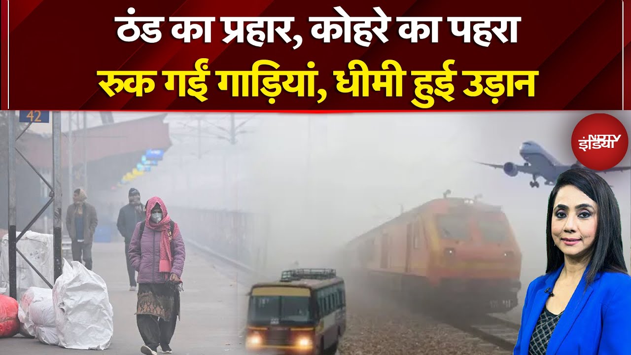 Weather Update: उत्तर भारत में कोहरे और शीतलहर का असर, रुक गईं गाड़ियां, धीमी हुई उड़ान | Winter