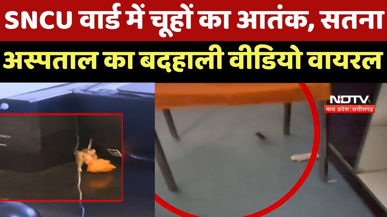SNCU Ward में चूहों का आतंक, Satna Hospital का बदहाली Video Viral