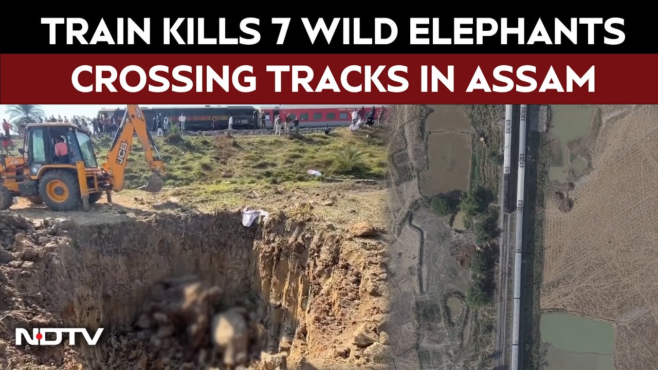 Assam News | Seven Wild Asiatic Elephants Killed After Rajdhani Express Hits Herd In Assam