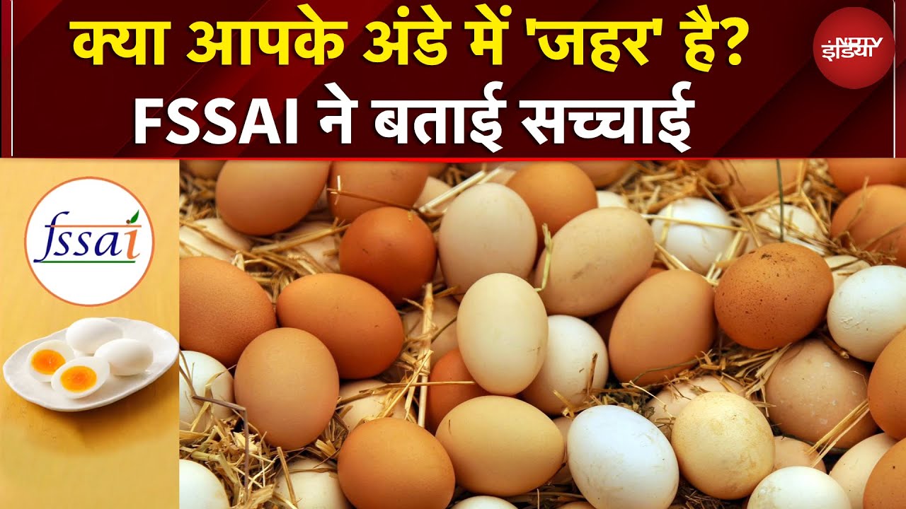 अंडे से होता है कैंसर? FSSAI ने बता दी सच्चाई | Egg | Namaste India | NDTV India