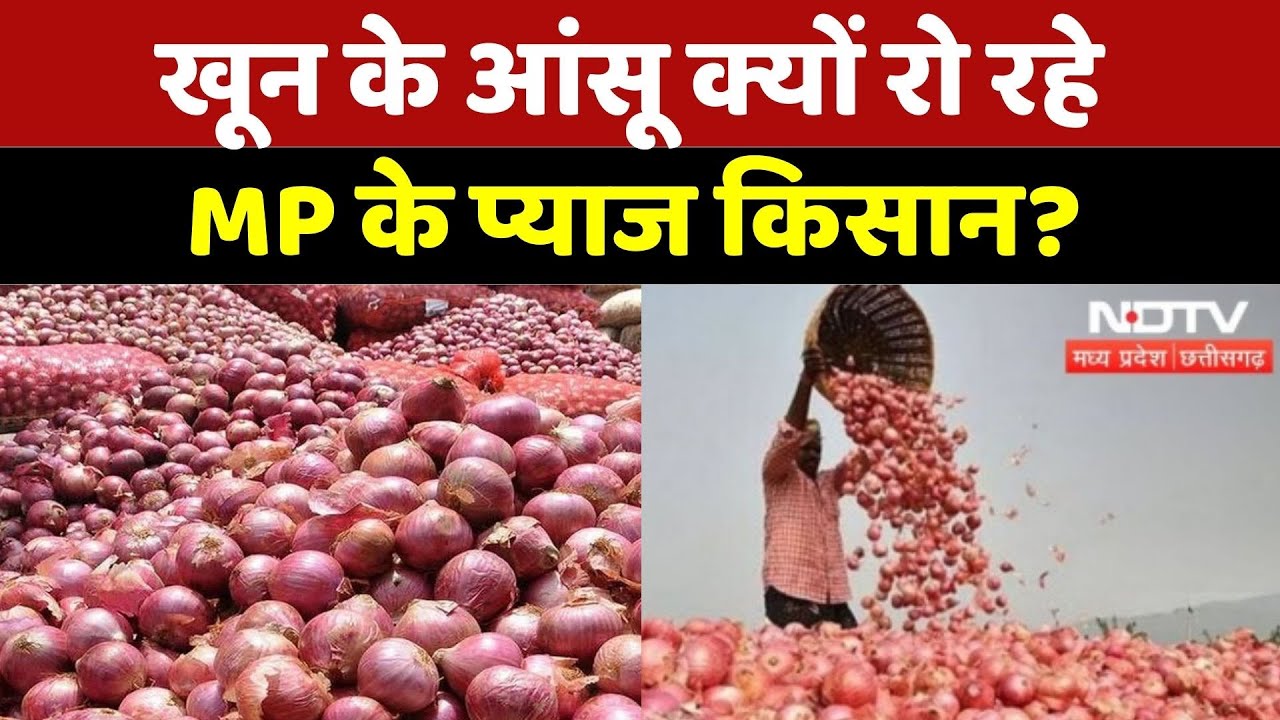 Onion Farmers: खून के आंसू क्यों रो रहे एमपी के प्याज किसान?| Madhya Pradesh | Onion Rate | Top News