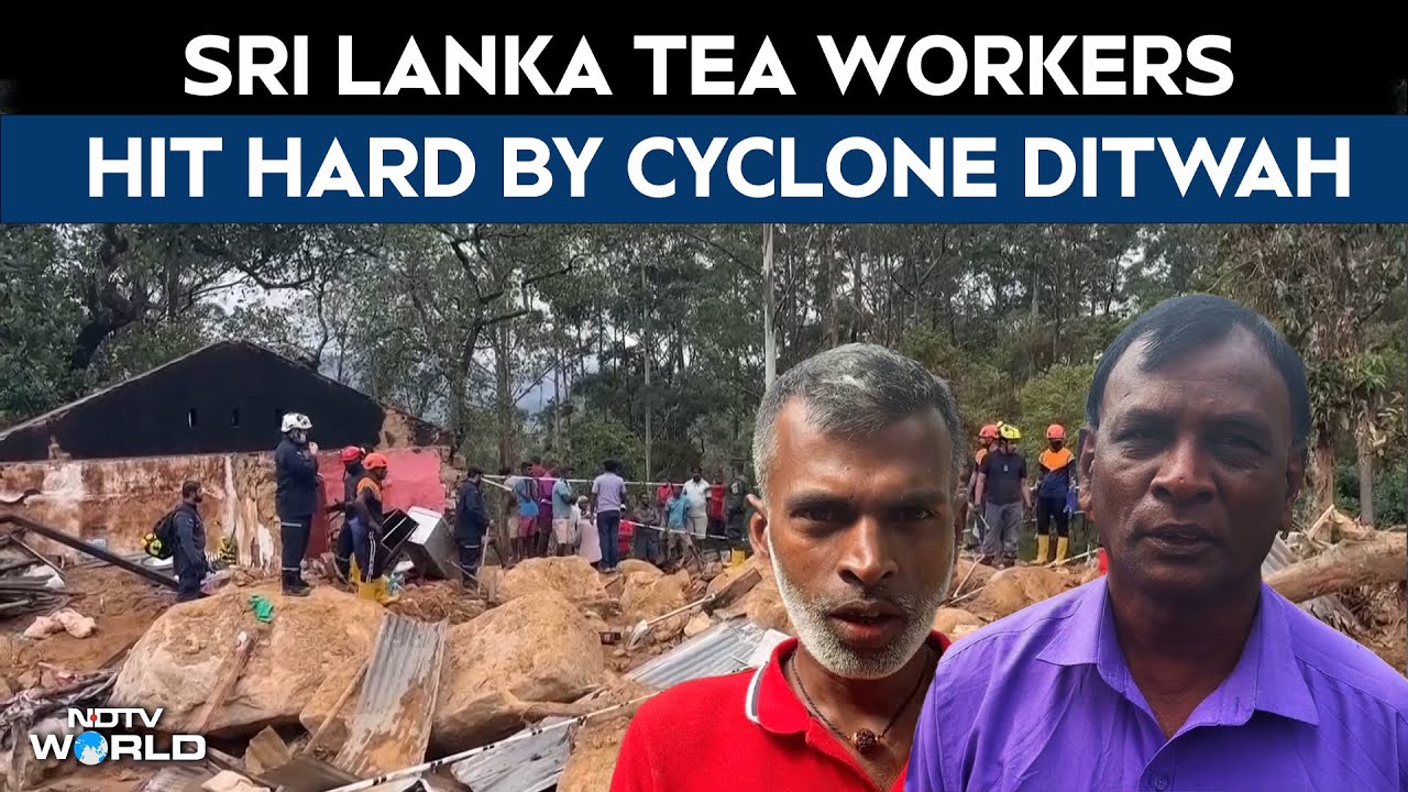 Sri Lanka Tea Workers Struggling On Low Pay, Hit Hard By Cyclone Ditwah's Devastation