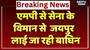 MP से सेना के M-17 विमान से बाघिन को लाया जा रहा Jaipur | Breaking News | Rajasthan Top News
