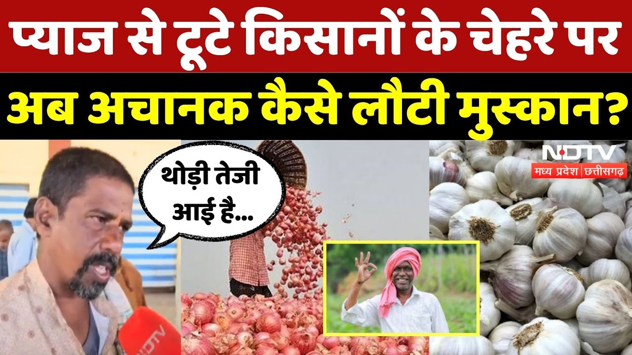 Onion Farmers: प्याज रुला रहा लेकिन लहसुन ने दी राहत! क्या बोले किसान | Farmers | MP | Crop Rate |MP