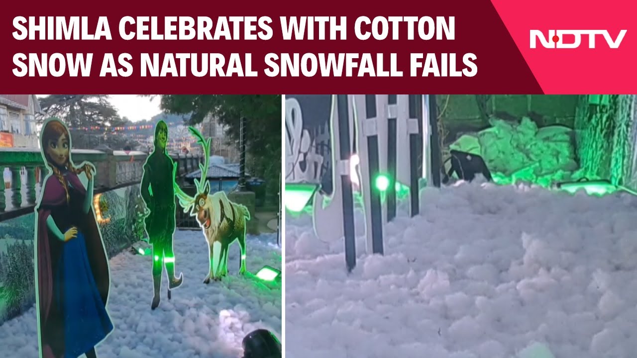 Shimla Weather | Shimla Celebrates Winter With Cotton Snow As Natural Snowfall Fails