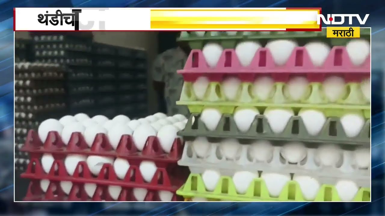 Egg Price Hike in Winter Season | राज्यात थंडीचा जोर वाढल्यामुळे अंड्याचाही भाव वाढला