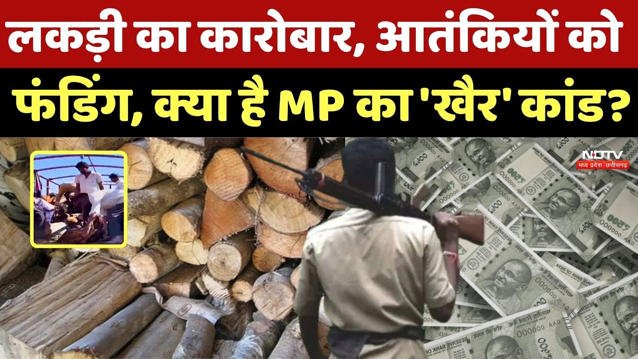 Alirajpur Khair Scam: लकड़ी का कारोबार, आतंकियों को फंडिंग, क्या है MP का 'खैर' कांड? Terror Funding