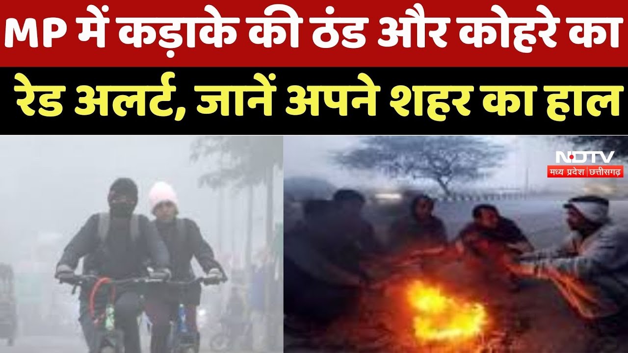 MP Weather Update: Meteorological Department की बड़ी चेतावनी, इन जिलों में शीतलहर और घने कोहरे का कहर