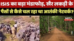 MP का 'खैर' कांड, लकड़ी तस्करी से Terrorist Funding, Alirajpur में ISIS का चल रहा था खेल