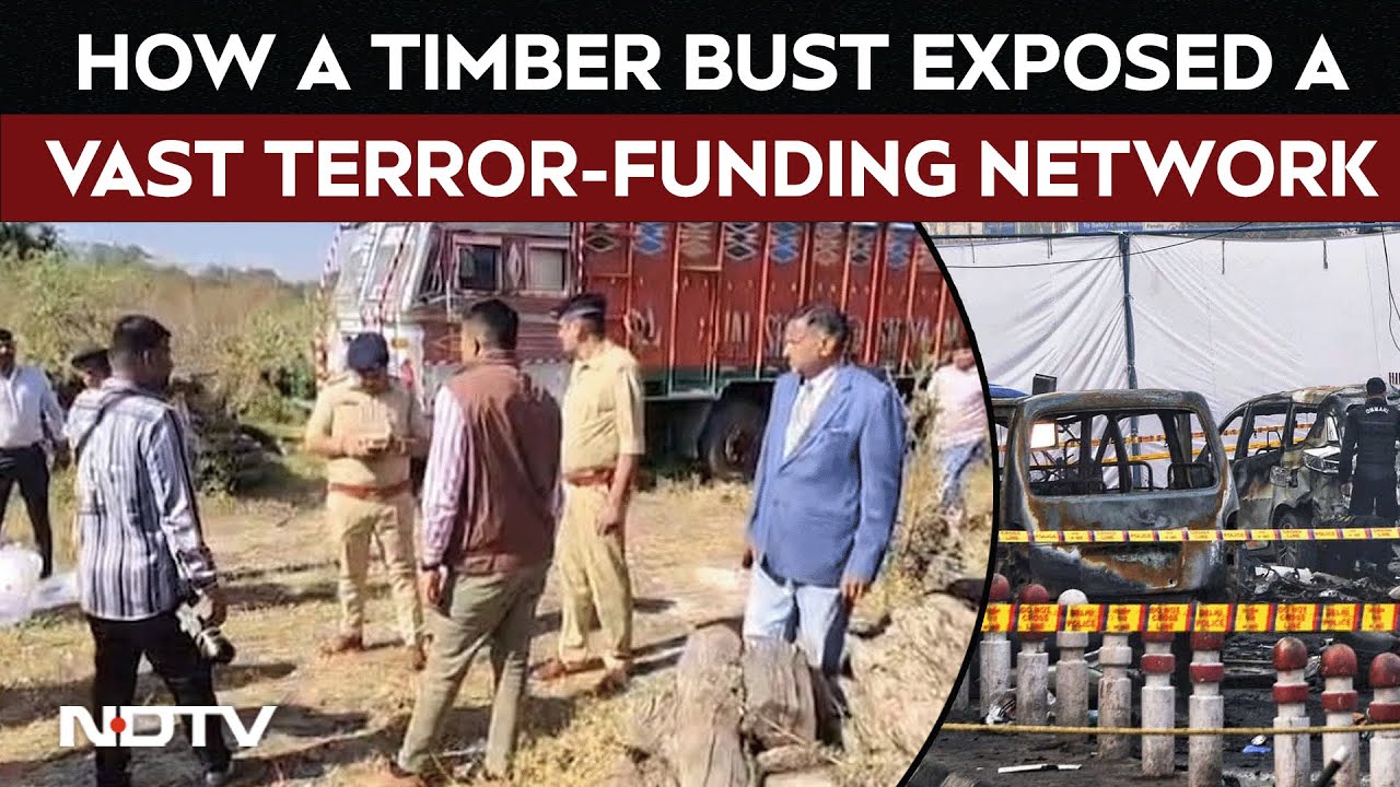 Terror Attack | How A Routine Timber Bust Exposed A Massive Terror-Funding Network