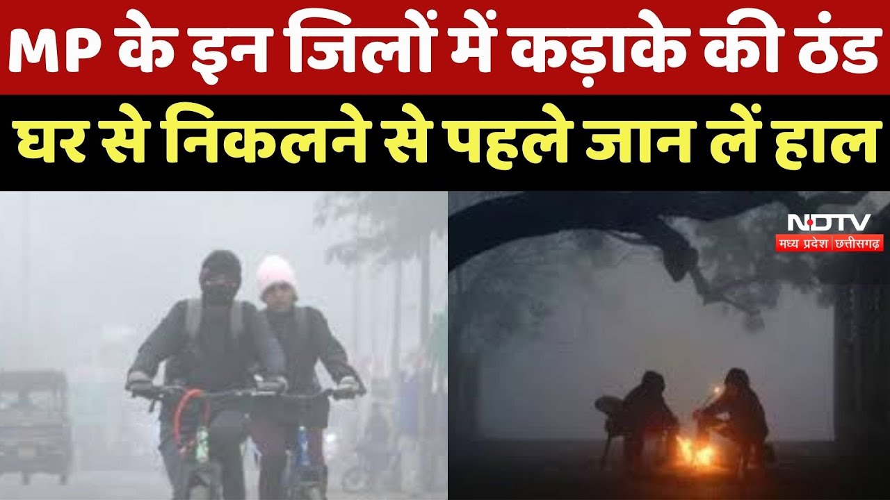MP Weather Update : MP के इन Districts में कड़ाके की ठंड, घर से निकलने से पहले जान लें हाल