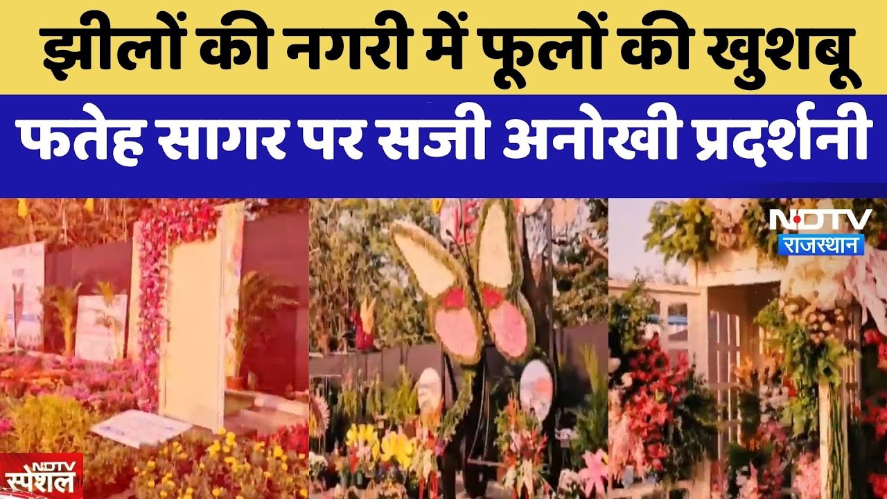 Udaipur Flower Show: झीलों की नगरी में फूलों की खुशबू , Fateh Sagar पर सजी अनोखी प्रदर्श | Latest