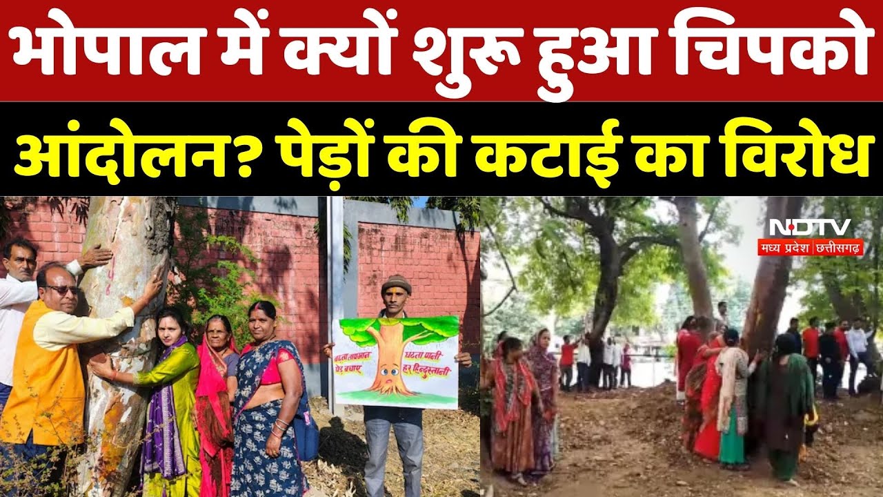 Bhopal News: भोपाल में क्यों शुरू हुआ चिपको आंदोलन? पेड़ों की कटाई का विरोध | MP News