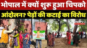 Bhopal News: भोपाल में क्यों शुरू हुआ चिपको आंदोलन? पेड़ों की कटाई का विरोध | MP News