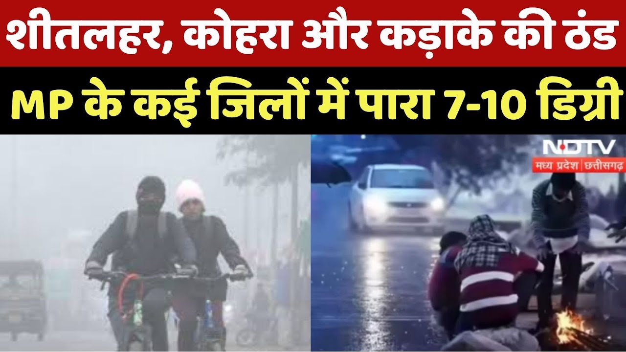 MP Winter Update : शीतलहर, कोहरा और कड़ाके की ठंड, MP के कई Districts में पारा 7-10 Degrees
