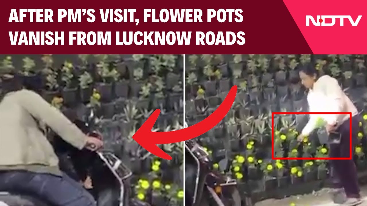 After PM Modi's Visit, Flower Pots Vanish from Lucknow Roads, Video Goes Viral