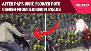 After PM Modi's Visit, Flower Pots Vanish from Lucknow Roads, Video Goes Viral