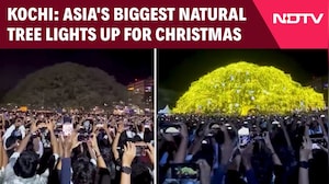 Kochi: Asia's Biggest Natural Tree Lights Up For Christmas