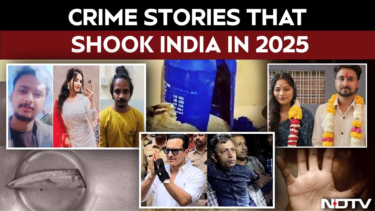 Crime Stories That Shook India In 2025 | NDTV Explained