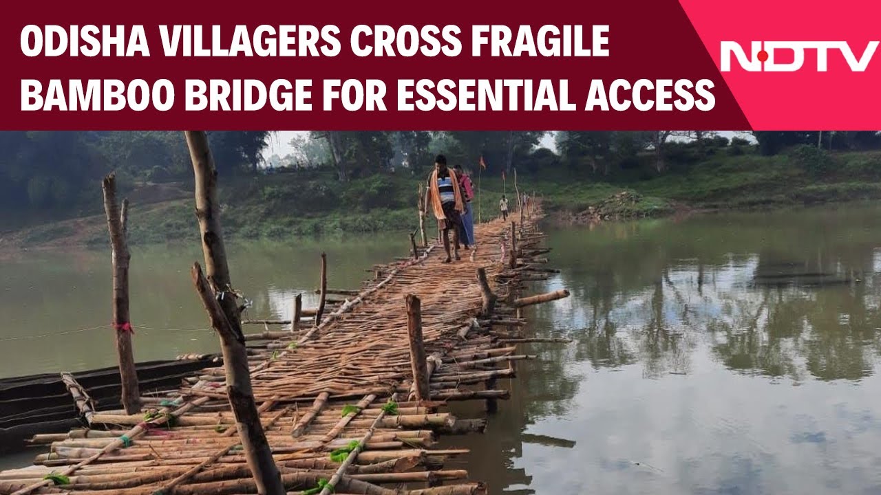 Odisha News | Villagers In Mayurbhanj Cross A Fragile Bamboo Bridge To Reach Schools, Markets
