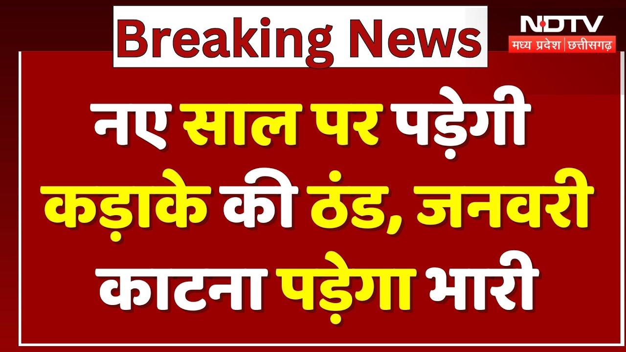 MP Weather: घने कोहरे का अलर्ट, नए साल पर पड़ेगी कड़ाके की सर्दी! | Winter | Cold Wave | MP | Top