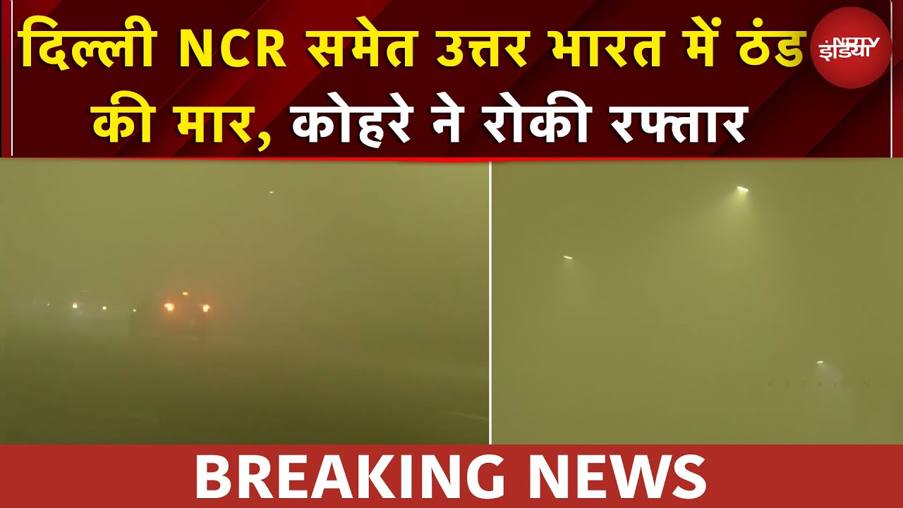 ठंड और कोहरा... Delhi-NCR समेत उत्तर भारत में मौसम की मार | Weather News