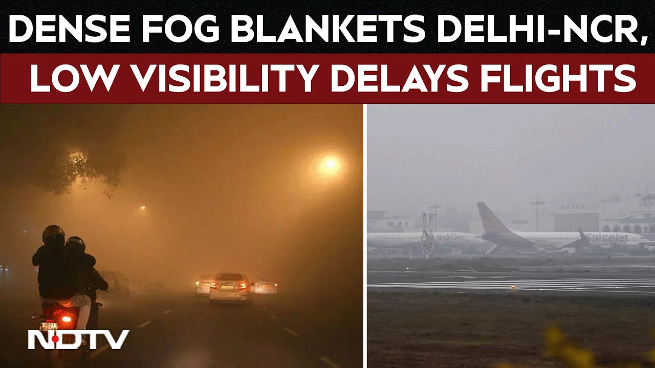 Delhi Weather Today | Visibility Drops As Dense Fog Blankets Delhi-NCR, Orange Alert Issued