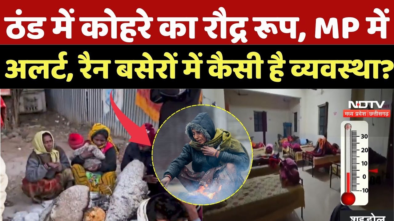 MP Weather Alert: ठंड में कोहरे का रौद्र रूप, MP में अलर्ट, रैन बसेरों में कैसी है व्यवस्था? Winter