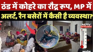 MP Weather Alert: ठंड में कोहरे का रौद्र रूप, MP में अलर्ट, रैन बसेरों में कैसी है व्यवस्था? Winter