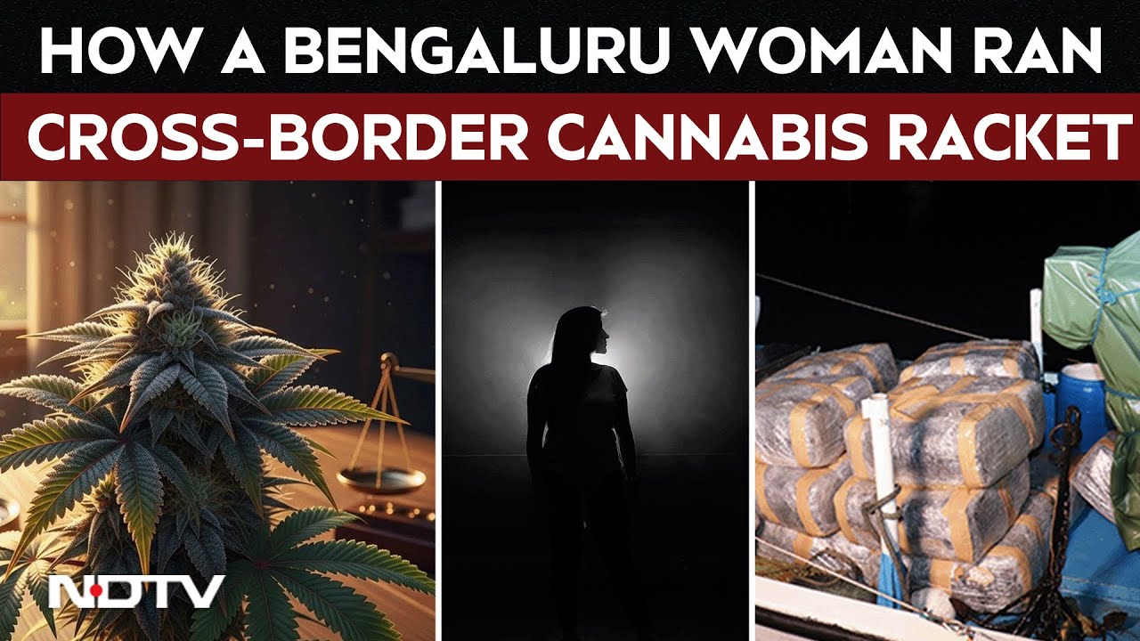 From IT Professional To Lady Don: Bengaluru Woman Busted For Running Cross-Border Cannabis Network