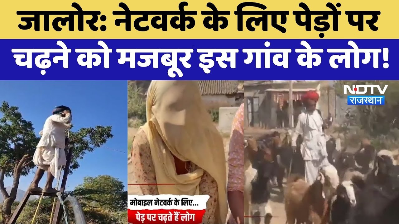Jalore: Network के लिए पेड़ों पर चढ़ने को मजबूर इस गांव के लोग! | Top News