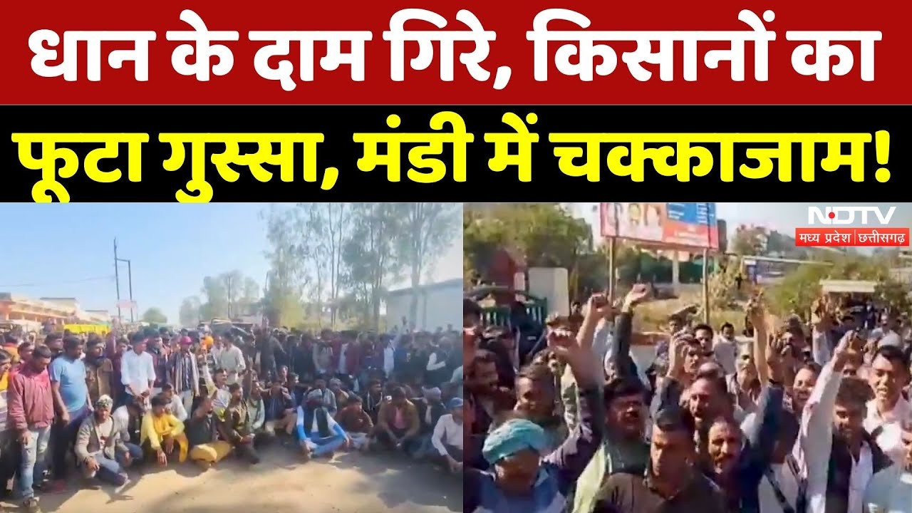Dhan Rate in MP: Narmadapuram में किसानों ने क्यों किया चक्काजाम? | Dhan | Farmers | MP | Latest