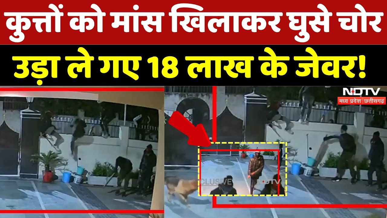 Bhopal News: चाकू, तलवार लेकर घुसे, उड़ा ले गए कैश और 18 लाख के जेवर! | Viral Video | Breaking | MP