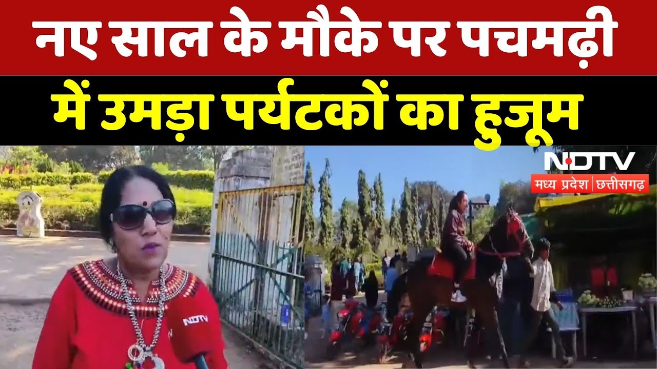 New Year 2026: नए साल के मौके पर Pachmarhi में उमड़ा पर्यटकों का हुजूम | Madhya Pradesh | MP News