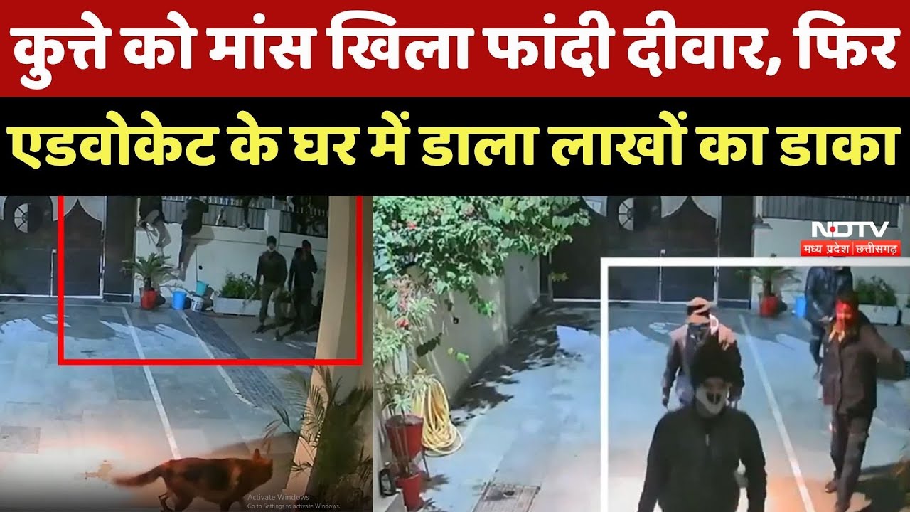 Bhopal Crime : कुत्ते को मांस खिला फांदी दीवार, फिर Senior Lawyer के घर में डाला लाखों का डाका
