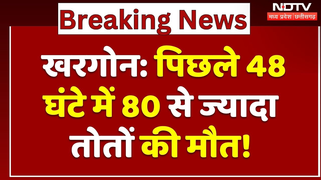 Parrot Death in Khargone: Food Poisoning से पिछले 48 घंटे में 80 से ज्यादा तोतों की मौत! | MP News