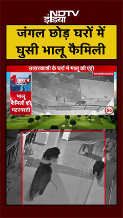 Video: Uttarkashi के एक घर में घुसे 3 भालू, आराम फरमाते आए नजर | Uttarakhand | Viral Video |#shorts