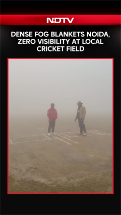 Dense Fog Blankets Noida, Zero Visibility at Local Cricket Fields