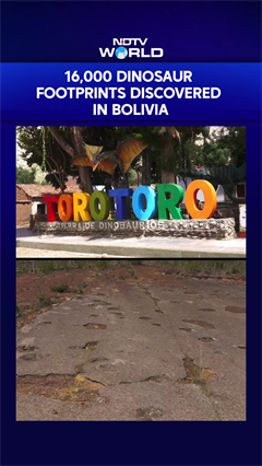 16,000 Fossil Footprints Of Dinosaurs Found In Central Bolivia