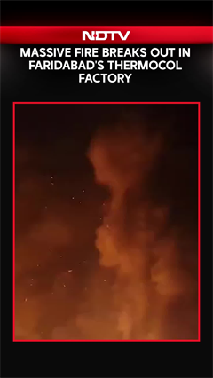 Faridabad Fire | Massive Fire Destroys Thermocol Factory Near Shahpur Village in Faridabad