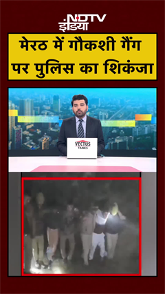 Video: मेरठ में गौकशी गैंग पर पुलिस का शिकंजा | UP News | UP Police | #shorts #ytshorts