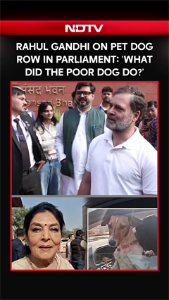 Rahul Gandhi Adds Fuel To Dog Row: "Dog Is The Main Topic Today..."
