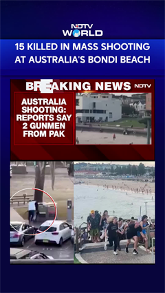 Video: Sydney Attack | 15 Killed In Mass Shooting At Australia's Bondi Beach During Jewish Festival