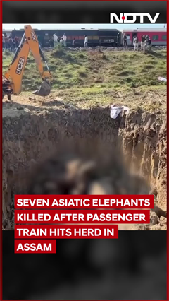 Seven Wild Asiatic Elephants Killed After Rajdhani Express Hits Herd In Assam